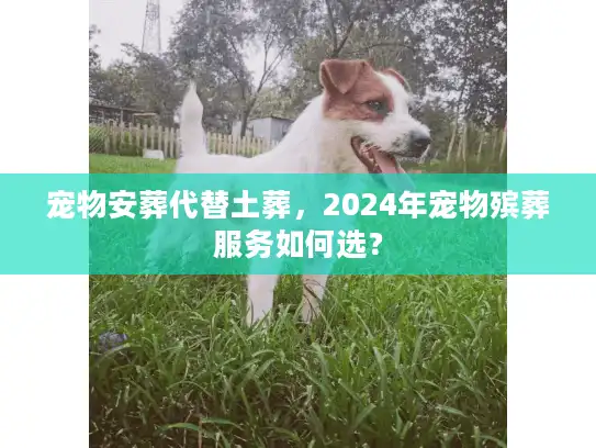 宠物安葬代替土葬，2024年宠物殡葬服务如何选？