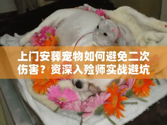 上门安葬宠物如何避免二次伤害？资深入殓师实战避坑