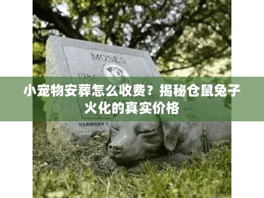 小宠物安葬怎么收费？揭秘仓鼠兔子火化的真实价格
