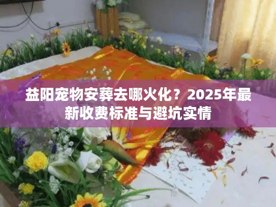 益阳宠物安葬去哪火化？2025年最新收费标准与避坑实情