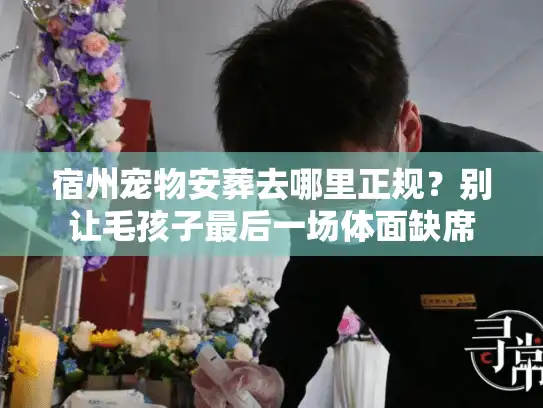 宿州宠物安葬去哪里正规？别让毛孩子最后一场体面缺席
