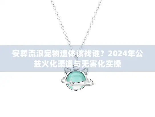 安葬流浪宠物遗体该找谁？2024年公益火化渠道与无害化实操