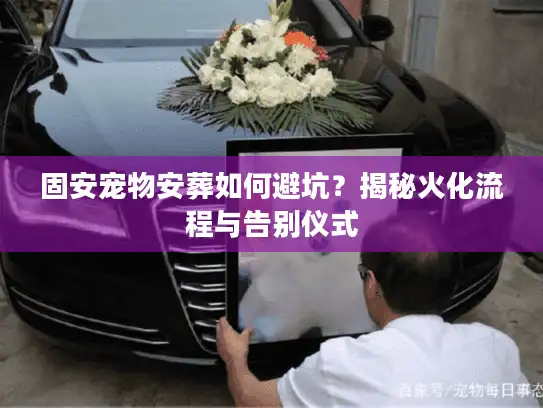 固安宠物安葬如何避坑？揭秘火化流程与告别仪式