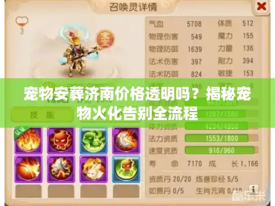 宠物安葬济南价格透明吗？揭秘宠物火化告别全流程