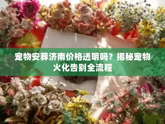宠物安葬济南价格透明吗？揭秘宠物火化告别全流程