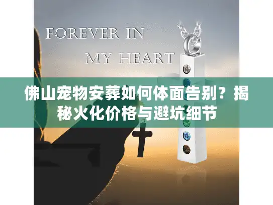 佛山宠物安葬如何体面告别？揭秘火化价格与避坑细节