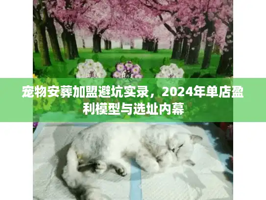 宠物安葬加盟避坑实录，2024年单店盈利模型与选址内幕
