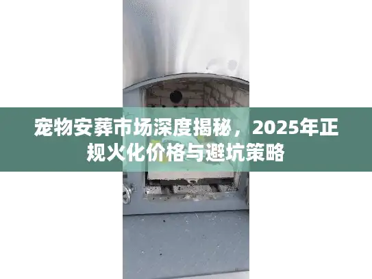 宠物安葬市场深度揭秘，2025年正规火化价格与避坑策略