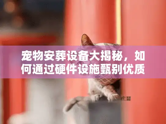 宠物安葬设备大揭秘，如何通过硬件设施甄别优质殡葬机构