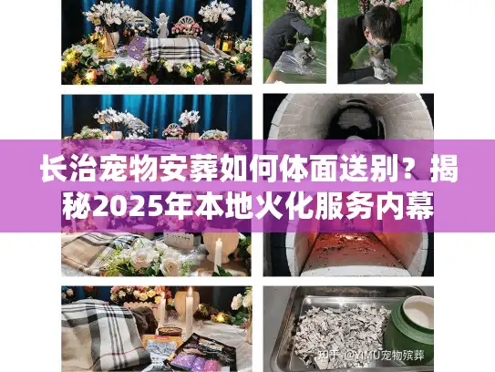 长治宠物安葬如何体面送别？揭秘2025年本地火化服务内幕