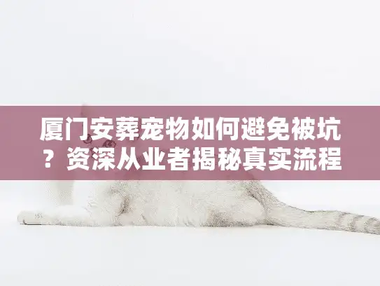 厦门安葬宠物如何避免被坑？资深从业者揭秘真实流程与价格