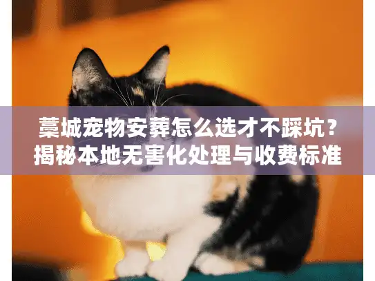 藁城宠物安葬怎么选才不踩坑？揭秘本地无害化处理与收费标准