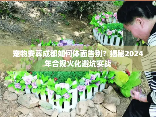 宠物安葬成都如何体面告别？揭秘2024年合规火化避坑实战