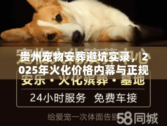 贵州宠物安葬避坑实录，2025年火化价格内幕与正规流程