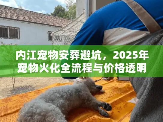 内江宠物安葬避坑，2025年宠物火化全流程与价格透明解析