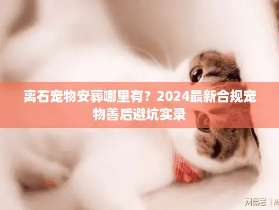 离石宠物安葬哪里有？2024最新合规宠物善后避坑实录