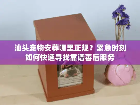 汕头宠物安葬哪里正规？紧急时刻如何快速寻找靠谱善后服务