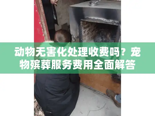 动物无害化处理收费吗？宠物殡葬服务费用全面解答