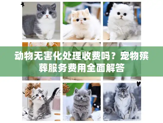 动物无害化处理收费吗？宠物殡葬服务费用全面解答