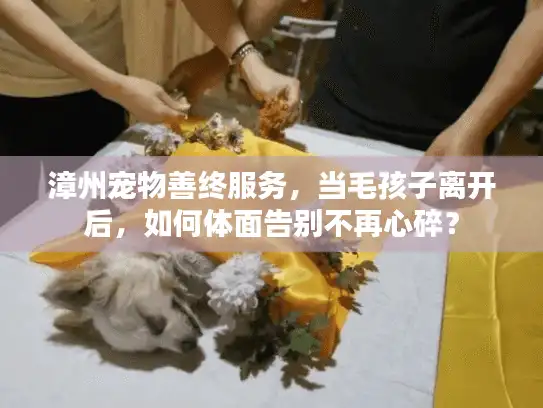 漳州宠物善终服务，当毛孩子离开后，如何体面告别不再心碎？