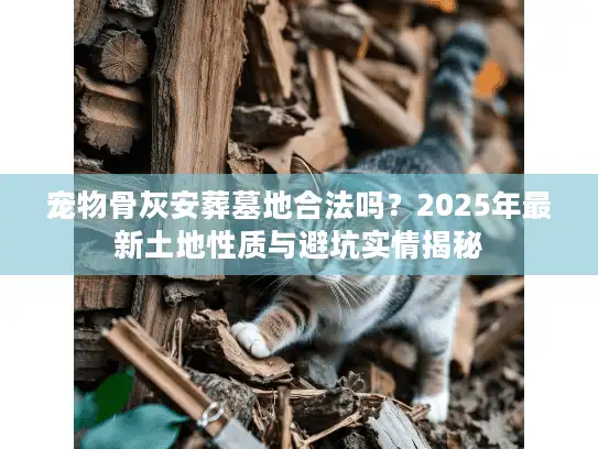 宠物骨灰安葬墓地合法吗？2025年最新土地性质与避坑实情揭秘