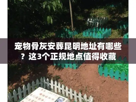 宠物骨灰安葬昆明地址有哪些？这3个正规地点值得收藏