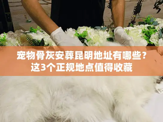 宠物骨灰安葬昆明地址有哪些？这3个正规地点值得收藏