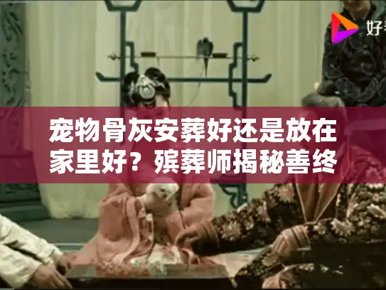 宠物骨灰安葬好还是放在家里好？殡葬师揭秘善终决策的隐痛