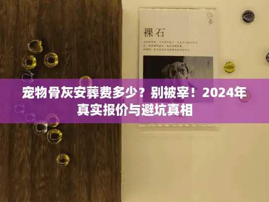 宠物骨灰安葬费多少？别被宰！2024年真实报价与避坑真相