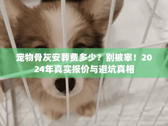 宠物骨灰安葬费多少？别被宰！2024年真实报价与避坑真相