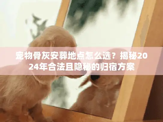 宠物骨灰安葬地点怎么选？揭秘2024年合法且隐秘的归宿方案