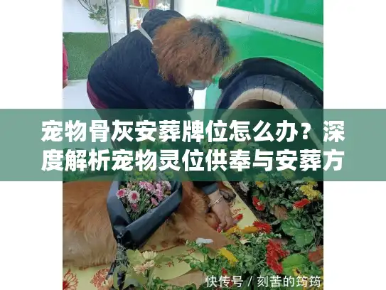 宠物骨灰安葬牌位怎么办？深度解析宠物灵位供奉与安葬方案