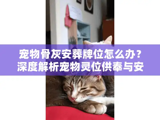 宠物骨灰安葬牌位怎么办？深度解析宠物灵位供奉与安葬方案