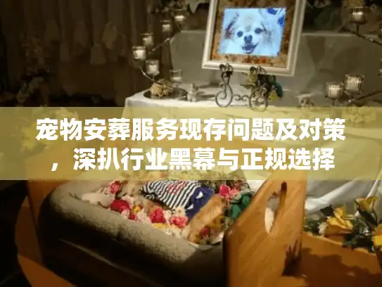 宠物安葬服务现存问题及对策，深扒行业黑幕与正规选择