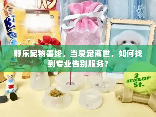 静乐宠物善终，当爱宠离世，如何找到专业告别服务？