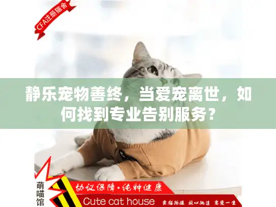 静乐宠物善终，当爱宠离世，如何找到专业告别服务？