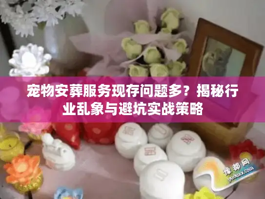 宠物安葬服务现存问题多？揭秘行业乱象与避坑实战策略