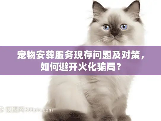 宠物安葬服务现存问题及对策，如何避开火化骗局？
