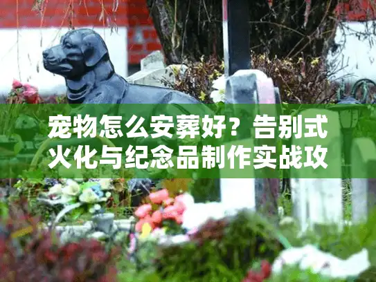 宠物怎么安葬好？告别式火化与纪念品制作实战攻略