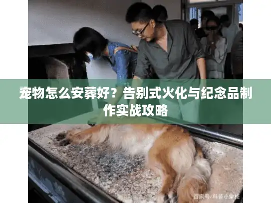 宠物怎么安葬好？告别式火化与纪念品制作实战攻略
