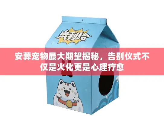 安葬宠物最大期望揭秘，告别仪式不仅是火化更是心理疗愈