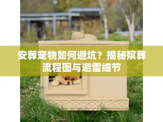 安葬宠物如何避坑？揭秘殡葬流程图与避雷细节