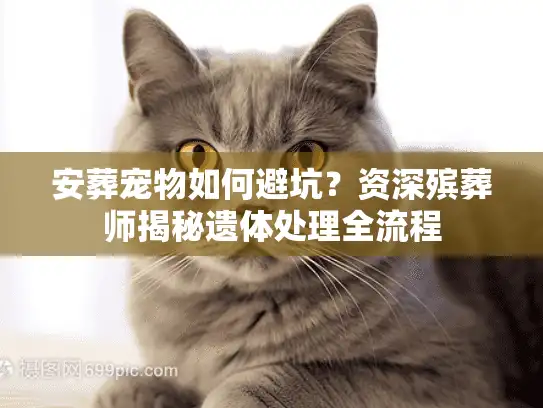 安葬宠物如何避坑？资深殡葬师揭秘遗体处理全流程