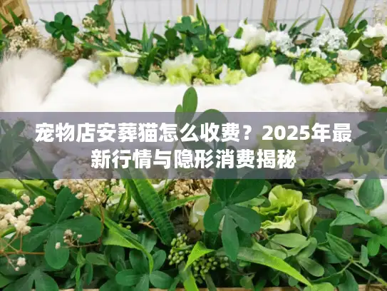 宠物店安葬猫怎么收费？2025年最新行情与隐形消费揭秘