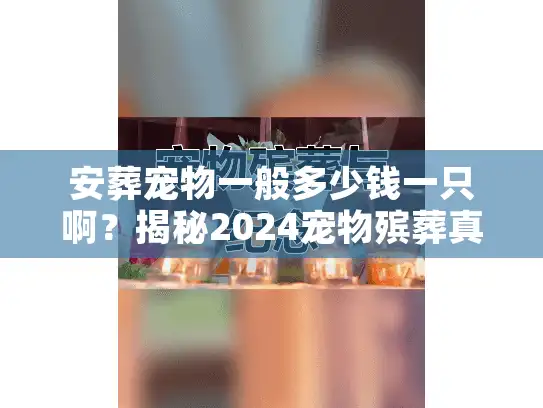 安葬宠物一般多少钱一只啊？揭秘2024宠物殡葬真实报价内幕