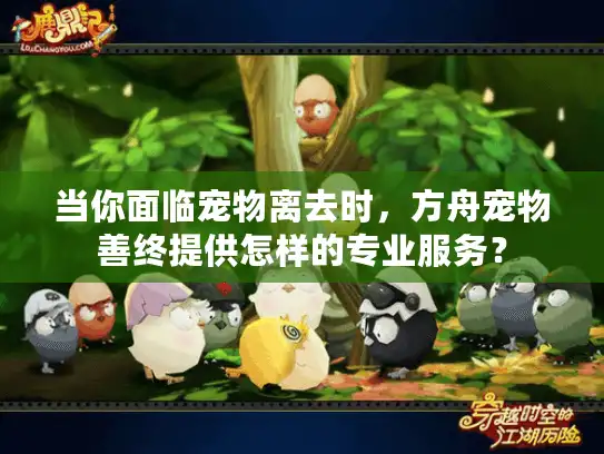 当你面临宠物离去时，方舟宠物善终提供怎样的专业服务？
