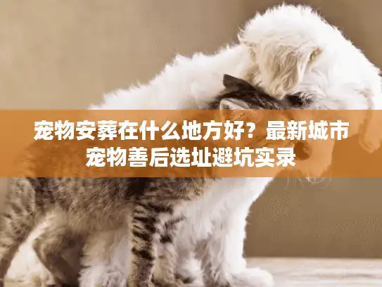 宠物安葬在什么地方好？最新城市宠物善后选址避坑实录