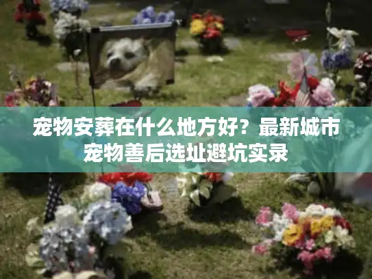宠物安葬在什么地方好？最新城市宠物善后选址避坑实录