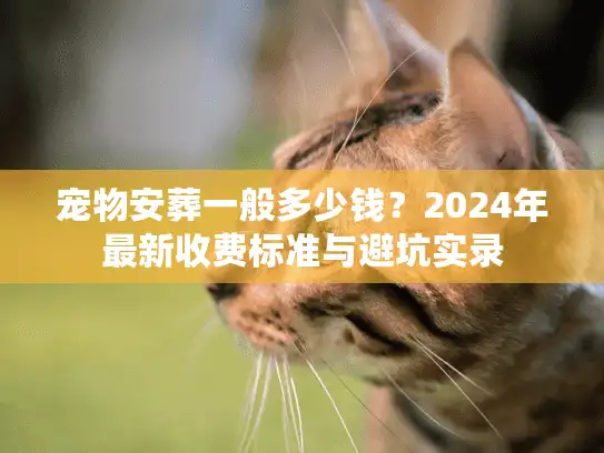 宠物安葬一般多少钱？2024年最新收费标准与避坑实录
