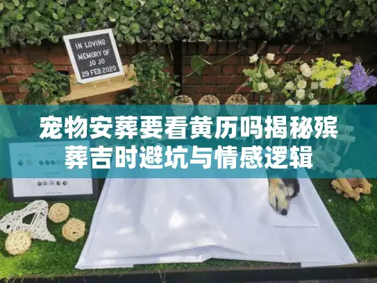 宠物安葬要看黄历吗揭秘殡葬吉时避坑与情感逻辑
